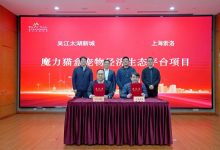 宠物经济新势力入驻！魔力猫盒项目正式签约吴江太湖新城 - 大风热搜网