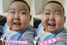 抗癌“小王子”豪豪离世，那句“王子请恢复健康”成永恒回忆 - 大风热搜网