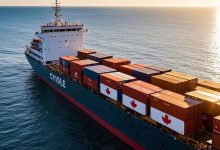 中加贸易新动向:油菜籽关税或下调,电动车配额落地 - 大风热搜网