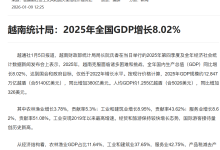 越南放大招：GDP增速亚洲第一，五年冲刺10%增长，是机遇还是豪赌？ - 大风热搜网