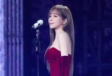 王心凌台北小巨蛋演唱会突发道具故障！原定空中互动取消，冷静救场超圈粉 - 大风热搜网