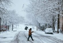 阳光之州遇罕见寒流：佛罗里达的“反常冬天”，温暖与韧性并存 - 大风热搜网