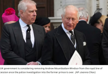 从爱泼斯坦泥潭到白金汉宫:安德鲁自毁前程,查尔斯挥泪断腕 - 大风热搜网