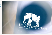 第62届慕安会:欧洲终于醒了,不再迷信美国的“保护伞” - 大风热搜网