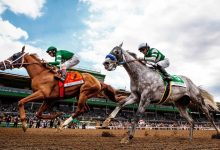 不存钱、爱花钱,赛马从业者安珀的金钱观:财富从不是账户数字 - 大风热搜网