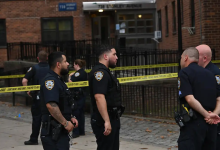 加入警方声明或后续调查,如“警方承诺加强巡逻”或“呼吁目击者提供线索” - 大风热搜网