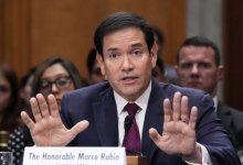 慕尼黑安全会议发声:美欧关系遇考验,美国重申“永远是欧洲的孩子” - 大风热搜网