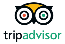 紧急!对冲基金限期Tripadvisor30天内回应出售要求,董事会面临抉择 - 大风热搜网