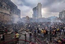 塞浦路斯突发口蹄疫危机：农业产业告急，核心奶酪出口面临严峻考验 - 大风热搜网