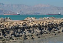 哈尔克岛：伊朗石油命脉，美以冲突中的敏感红线 - 大风热搜网