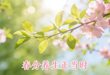 3.20春分养生指南：顺应时节养对身，开春少生病 - 大风热搜网