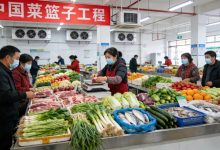 小小“菜篮子”，装着大国民生暖温度 - 大风热搜网