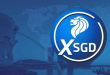 专访StraitsX负责人：稳定币不是投资品，而是数字支付新基建 - 大风热搜网