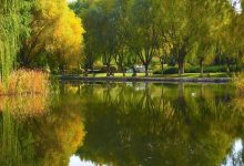 9个低成本自律习惯,坚持下去,慢慢活成想要的模样 - 大风热搜网