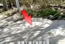 一根晾粮绳勒出的悲剧:13岁男孩“割喉”重伤,谁之过? - 大风热搜网