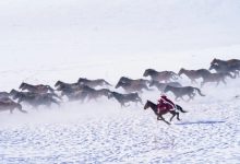 100天的等待，一场特殊的“接力” - 大风热搜网