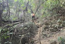 挖水晶变“挖坑”?网红“淘晶热”正在毁掉广州这座山 - 大风热搜网