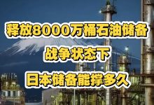 20天石油储备的背后:日本正用“救命血”填能源“无底洞” - 大风热搜网