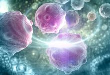 20万“抗癌神药”来了？国产CAR-T新药申报上市，能否终结百万天价？ - 大风热搜网