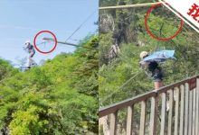 华蓥瀑布秋千事故：一句玩笑话背后的致命漏洞 - 大风热搜网